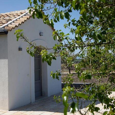 Masseria Celentano Relais & Agriturismo San Severo Kültér fotó